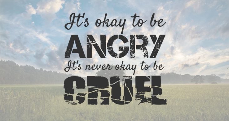 It's okay to be angry. It's never okay to be cruel.